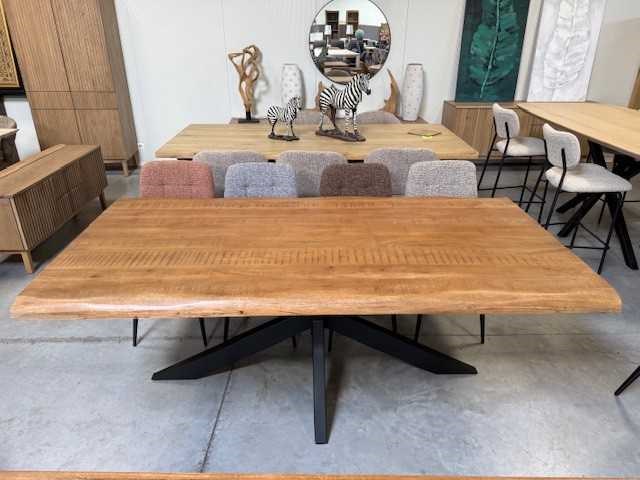 Boomstamtafel 200 - afbeelding 1 van  1