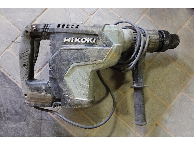 Boorhamer hikoki - afbeelding 2 van  3