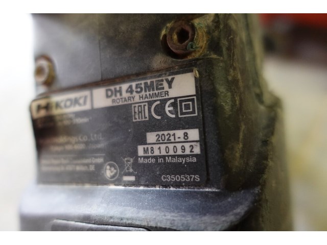 Boorhamer hikoki - afbeelding 3 van  3