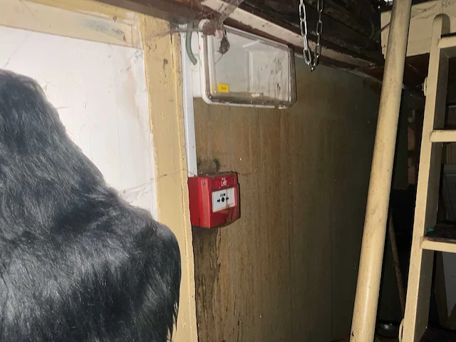 Bootbar boot uitgerust horeca – romp opnieuw uitgevoerd – nieuwe elektrische installatie - afbeelding 7 van  52