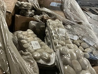 Borer galet partij mozaïek - afbeelding 2 van  3