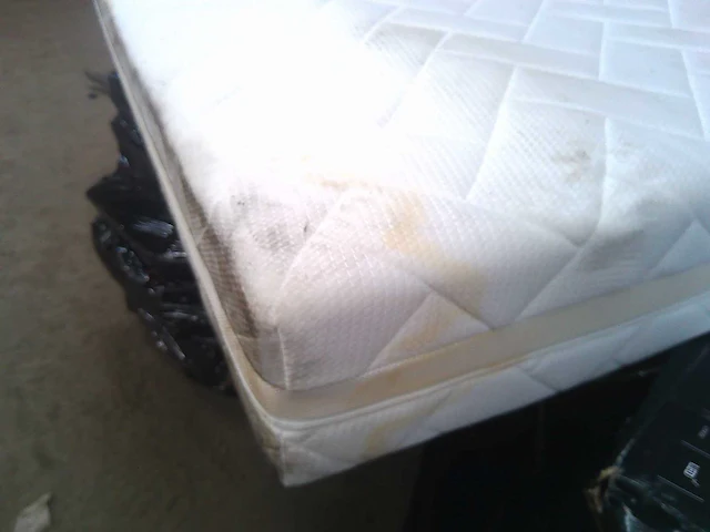 Borstbed 200 x 200 - met matras - beige fluweel - afbeelding 11 van  17