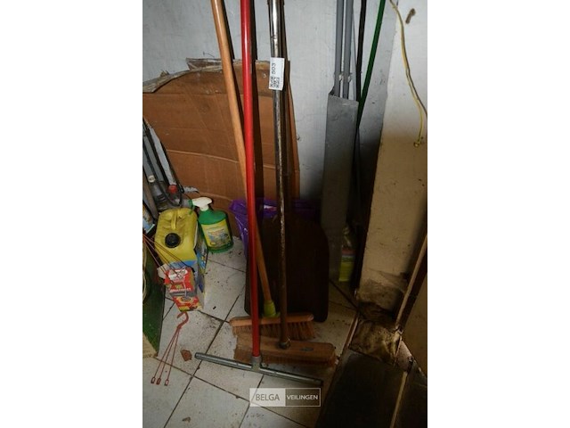 Borstel, schup , aftrekker - afbeelding 1 van  3