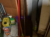 Borstel, schup , aftrekker - afbeelding 1 van  3