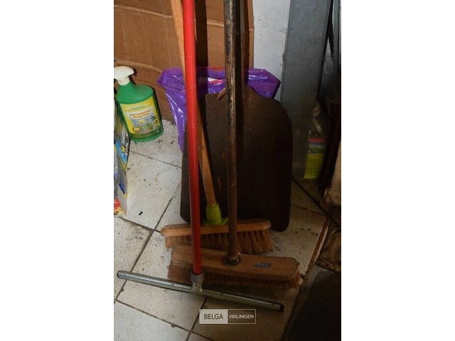 Borstel, schup , aftrekker - afbeelding 2 van  3