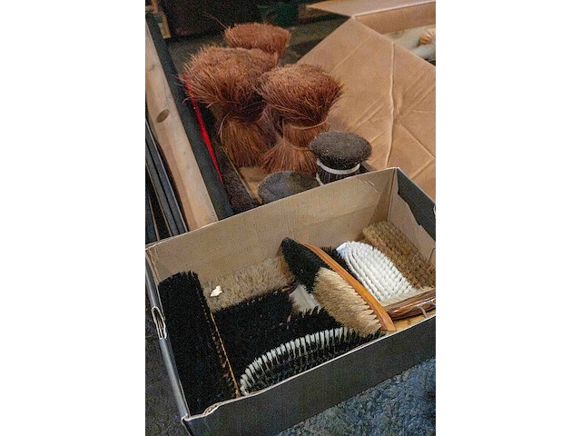 Borstels en trekkers - afbeelding 5 van  8