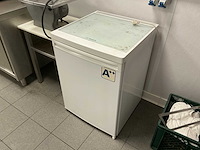 Bosh frigo klein koelkast - afbeelding 1 van  5