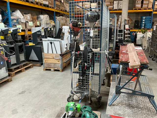 Bosmaaier (2x) - afbeelding 1 van  6