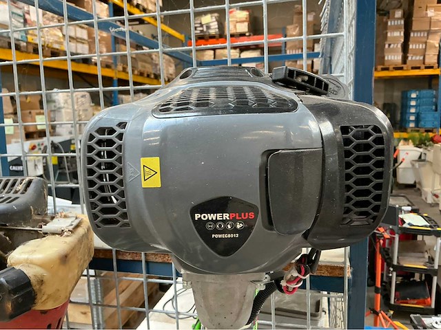 Bosmaaier (2x) - afbeelding 4 van  6