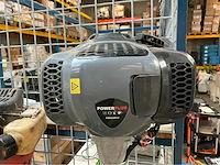 Bosmaaier (2x) - afbeelding 4 van  6