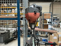 Bosmaaier (2x) - afbeelding 5 van  6