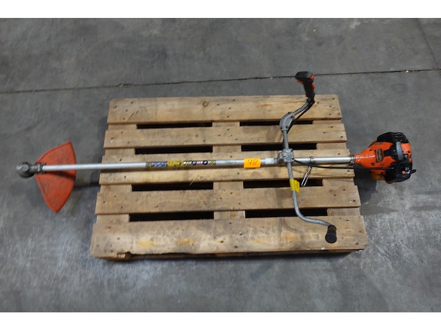 Bosmaaier echo - afbeelding 1 van  4