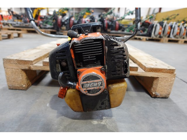 Bosmaaier echo - afbeelding 2 van  4