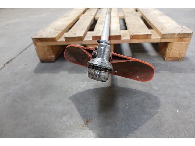 Bosmaaier echo - afbeelding 3 van  4