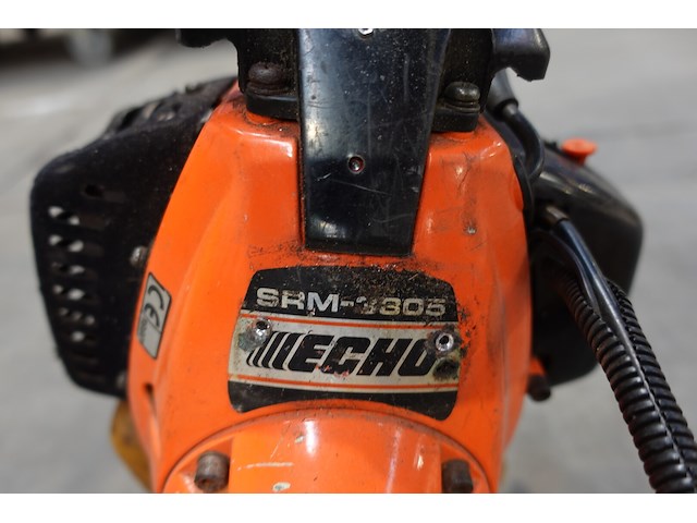 Bosmaaier echo - afbeelding 4 van  4