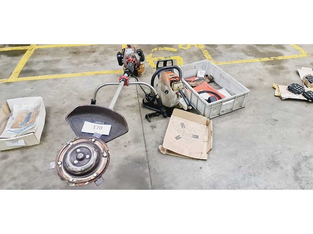 Bosmaaier en kettingzaag - afbeelding 1 van  5