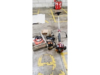 Bosmaaier en kettingzaag - afbeelding 3 van  5