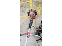 Bosmaaier en kettingzaag - afbeelding 4 van  5