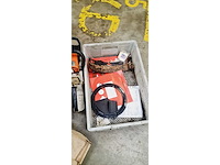 Bosmaaier en kettingzaag - afbeelding 5 van  5