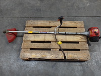 Bosmaaier maruyama - afbeelding 1 van  3