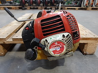 Bosmaaier maruyama - afbeelding 2 van  3