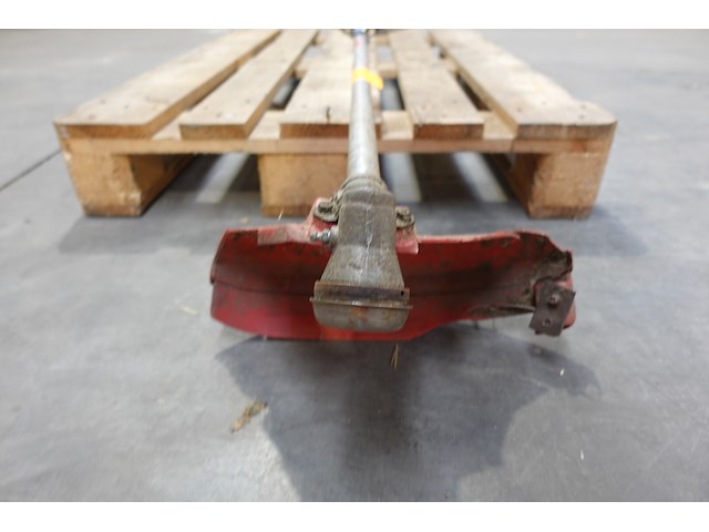 Bosmaaier maruyama - afbeelding 3 van  4