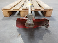 Bosmaaier maruyama - afbeelding 3 van  4