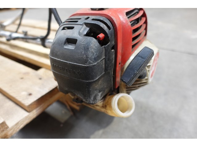 Bosmaaier maruyama - afbeelding 4 van  4