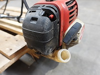 Bosmaaier maruyama - afbeelding 4 van  4