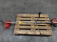 Bosmaaier maruyama - afbeelding 1 van  3