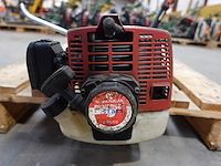 Bosmaaier maruyama - afbeelding 2 van  3