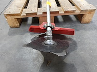 Bosmaaier maruyama - afbeelding 3 van  5