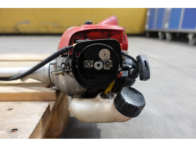 Bosmaaier maruyama - afbeelding 4 van  5