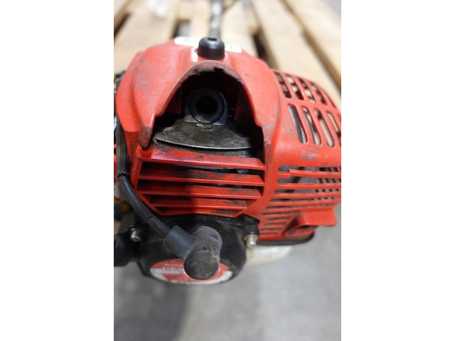 Bosmaaier maruyama - afbeelding 5 van  5