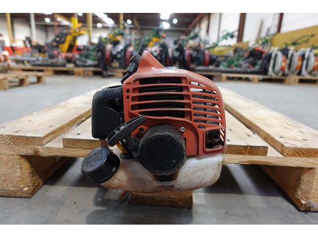 Bosmaaier maruyama - afbeelding 2 van  3