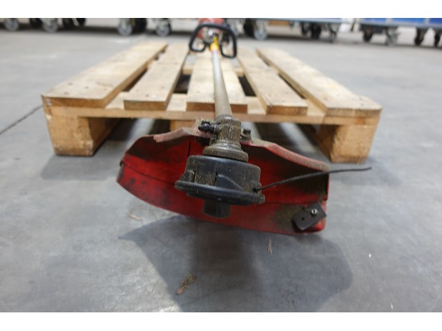 Bosmaaier maruyama - afbeelding 3 van  3