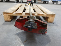 Bosmaaier maruyama - afbeelding 3 van  3