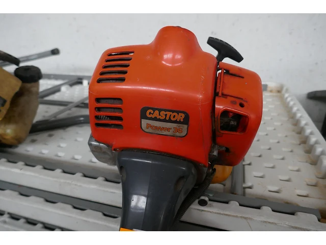Bosmaaier op benzine castor - afbeelding 4 van  5