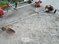 Bosmaaier op benzine