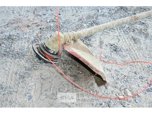 Bosmaaier op benzine - afbeelding 2 van  4