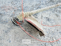 Bosmaaier op benzine - afbeelding 2 van  4
