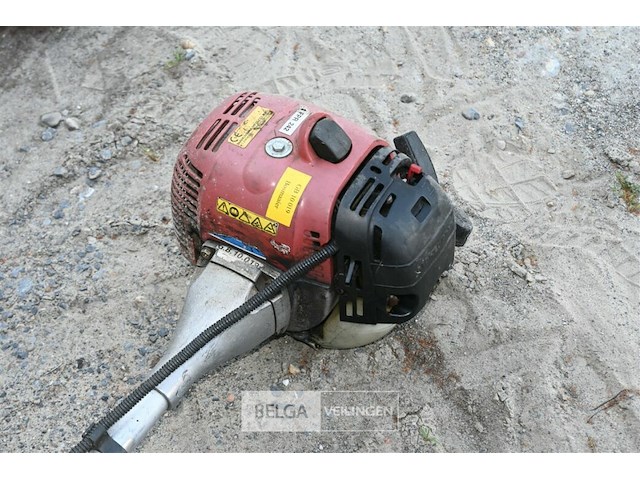 Bosmaaier op benzine - afbeelding 3 van  4