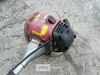 Bosmaaier op benzine - afbeelding 3 van  4