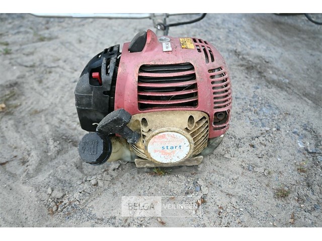 Bosmaaier op benzine - afbeelding 4 van  4