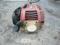 Bosmaaier op benzine - afbeelding 4 van  4
