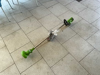 Bosmaaier - afbeelding 1 van  4