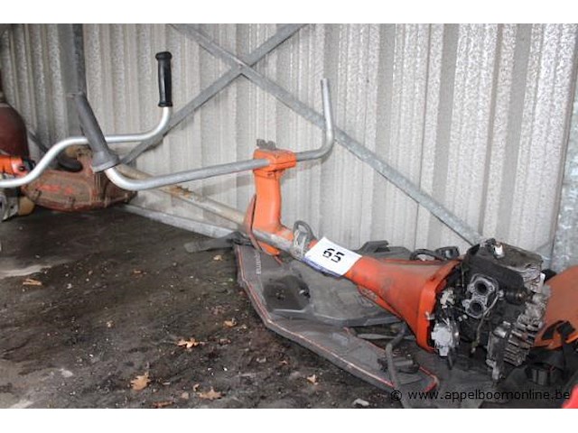 Bosmaaier - afbeelding 1 van  1