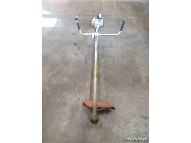 Bosmaaier - afbeelding 1 van  5