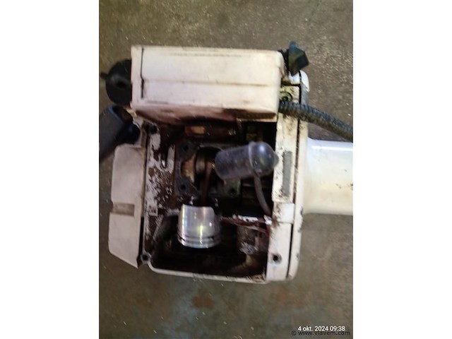 Bosmaaier - afbeelding 2 van  5