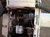 Bosmaaier - afbeelding 2 van  5